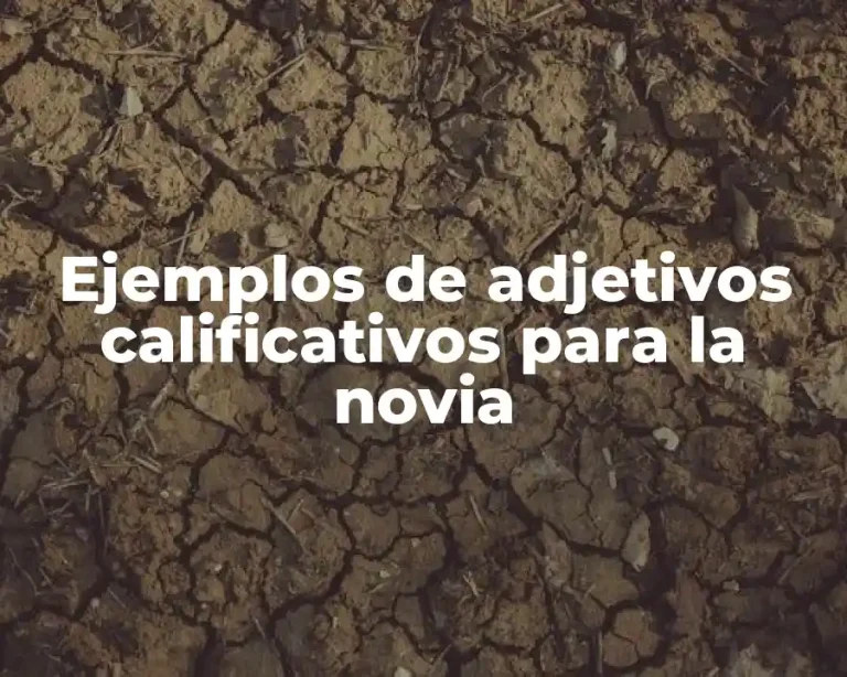 Ejemplos de adjetivos calificativos para la novia