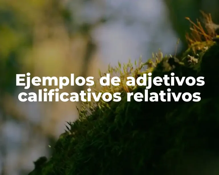 Ejemplos de adjetivos calificativos relativos