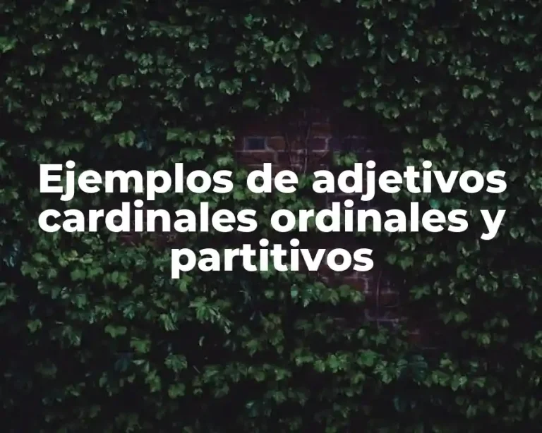 Ejemplos de adjetivos cardinales ordinales y partitivos