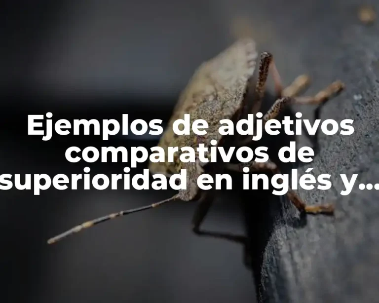 Ejemplos de adjetivos comparativos de superioridad en inglés y Significado
