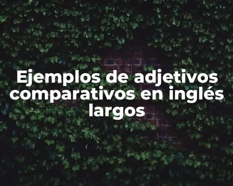 Ejemplos de adjetivos comparativos en inglés largos