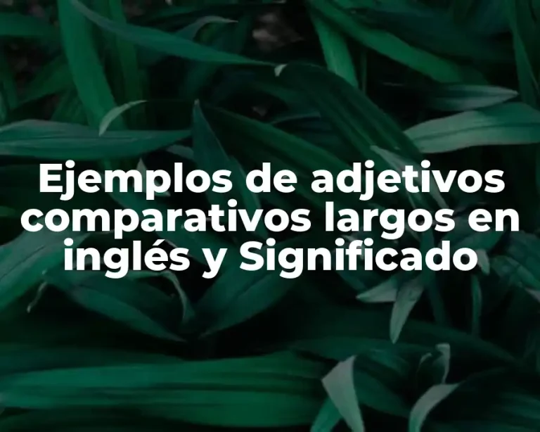Ejemplos de adjetivos comparativos largos en inglés y Significado