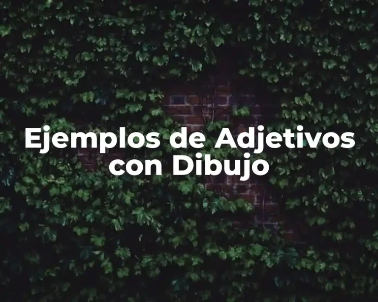 Ejemplos de Adjetivos con Dibujo