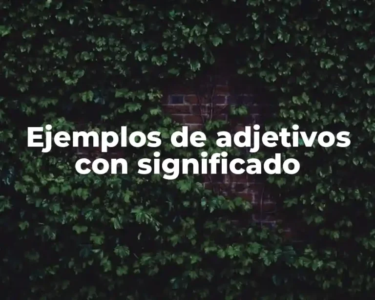 Ejemplos de adjetivos con significado