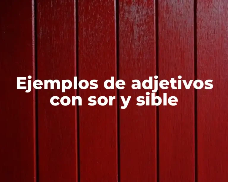 Ejemplos de adjetivos con sor y sible