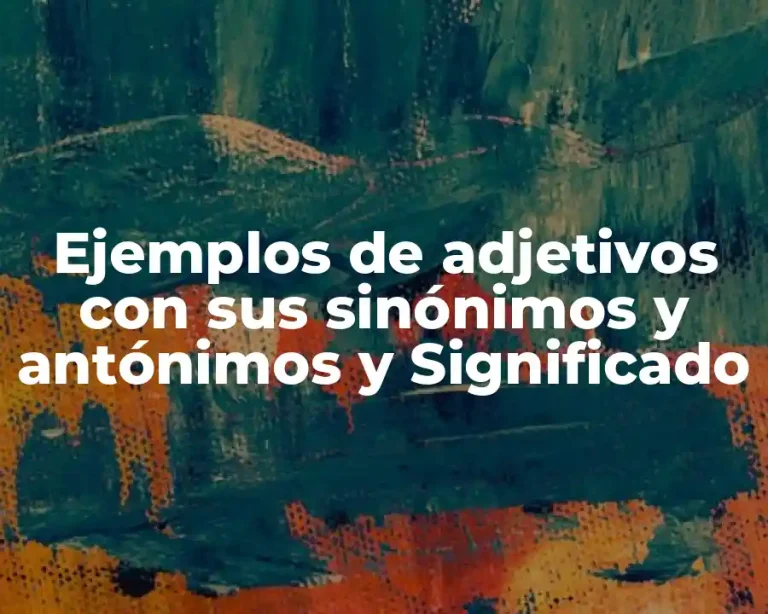 Ejemplos de adjetivos con sus sinónimos y antónimos y Significado