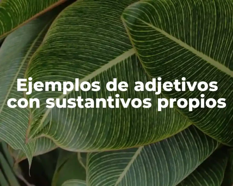 Ejemplos de adjetivos con sustantivos propios