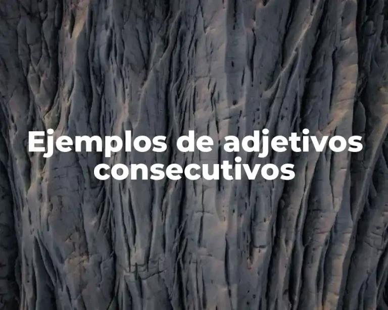 Ejemplos de adjetivos consecutivos