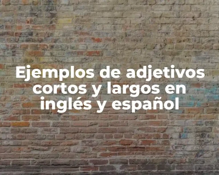 Ejemplos de adjetivos cortos y largos en inglés y español