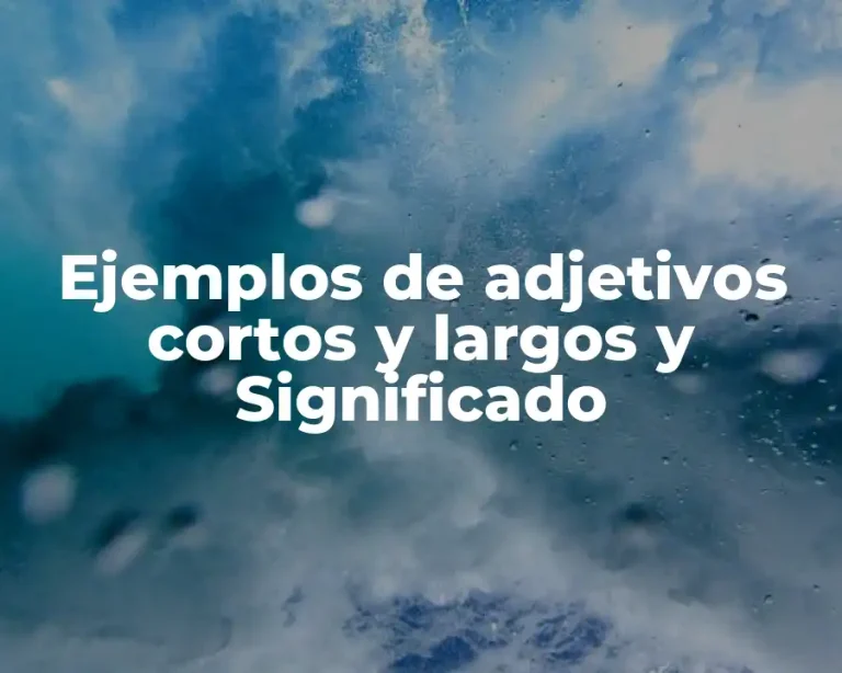 Ejemplos de adjetivos cortos y largos y Significado