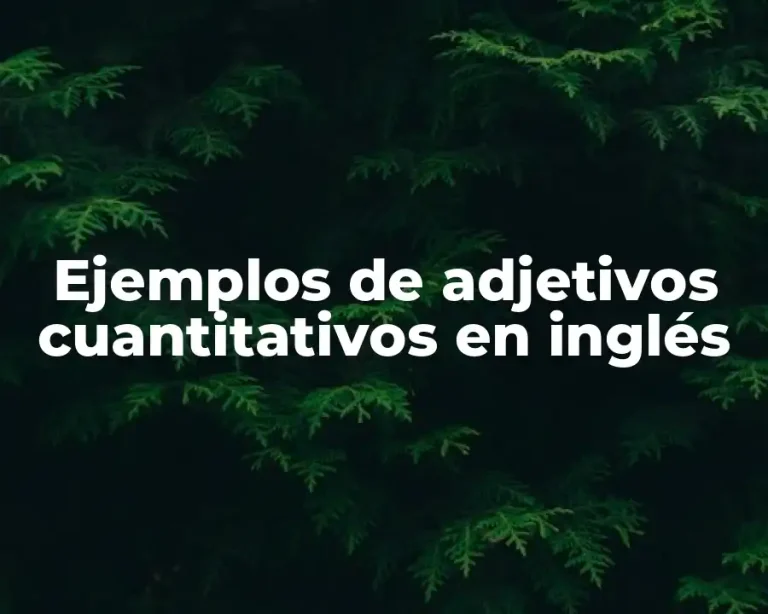 Ejemplos de adjetivos cuantitativos en inglés