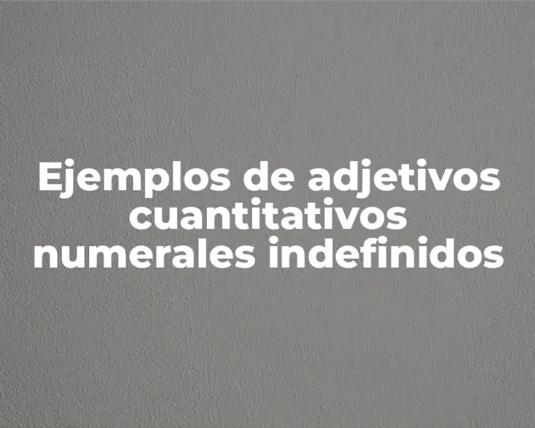 Ejemplos de adjetivos cuantitativos numerales indefinidos