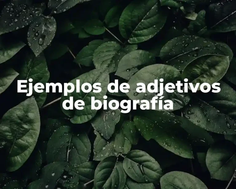Ejemplos de adjetivos de biografía