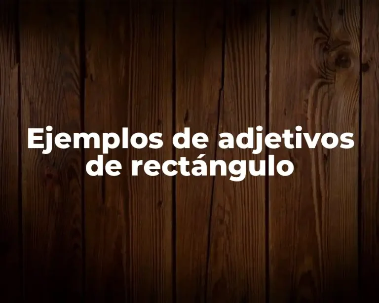 Ejemplos de adjetivos de rectángulo