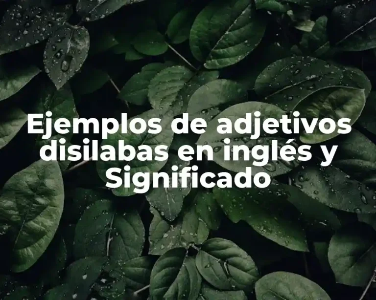 Ejemplos de adjetivos disilabas en inglés y Significado