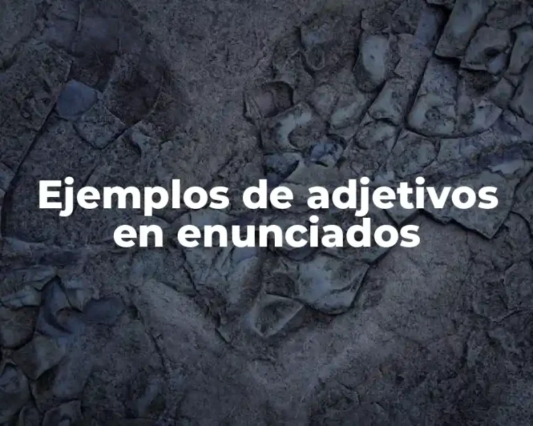 Ejemplos de adjetivos en enunciados