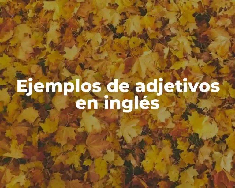 Ejemplos de adjetivos en inglés
