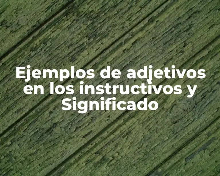 Ejemplos de adjetivos en los instructivos y Significado