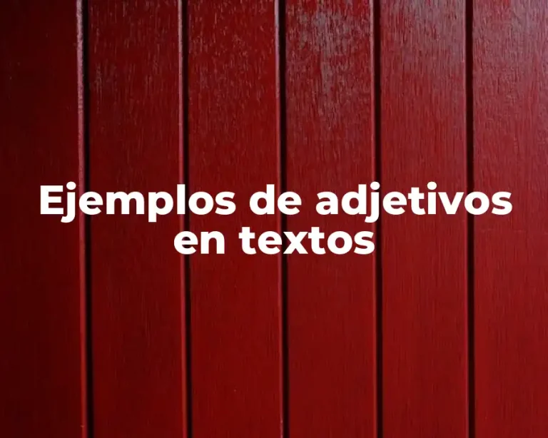 Ejemplos de adjetivos en textos