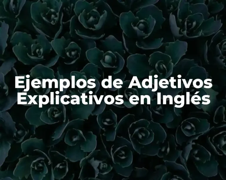 Ejemplos de Adjetivos Explicativos en Inglés