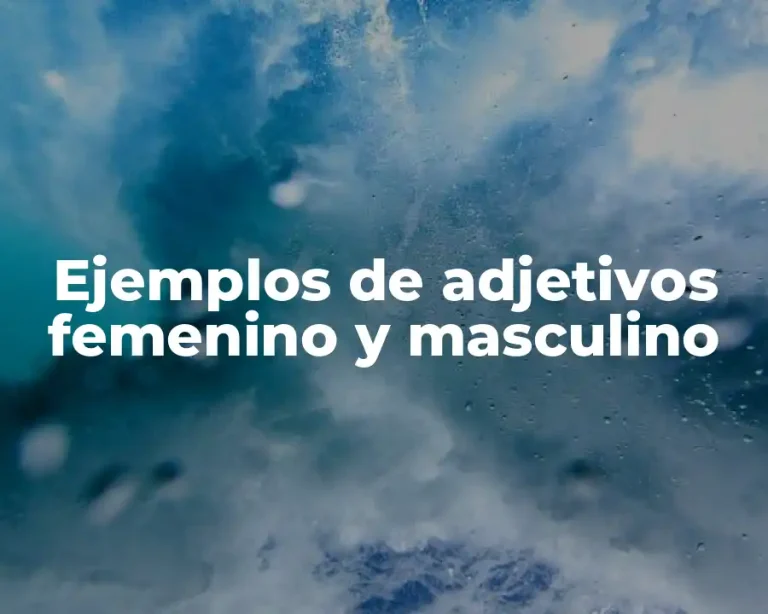 Ejemplos de adjetivos femenino y masculino