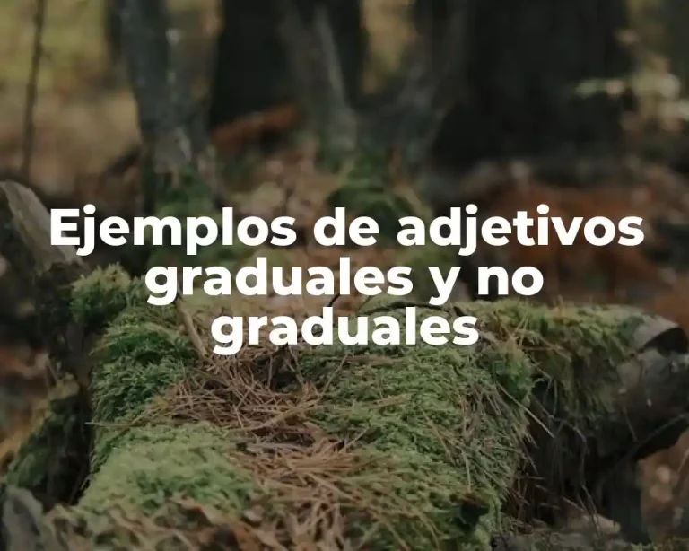 Ejemplos de adjetivos graduales y no graduales