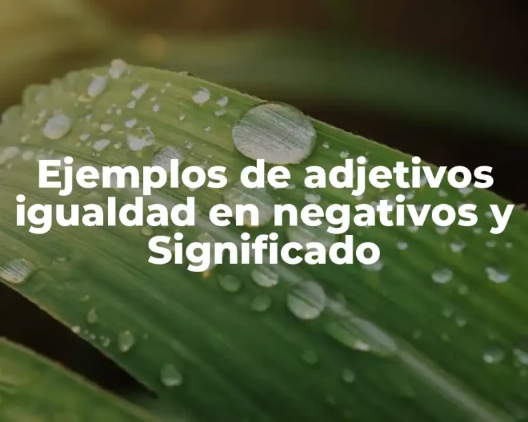 Ejemplos de adjetivos igualdad en negativos y Significado