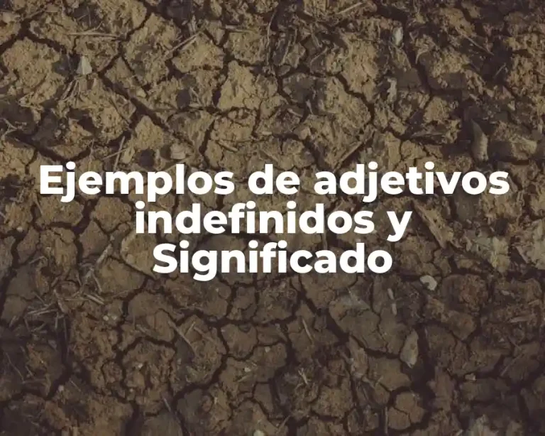 Ejemplos de adjetivos indefinidos y Significado