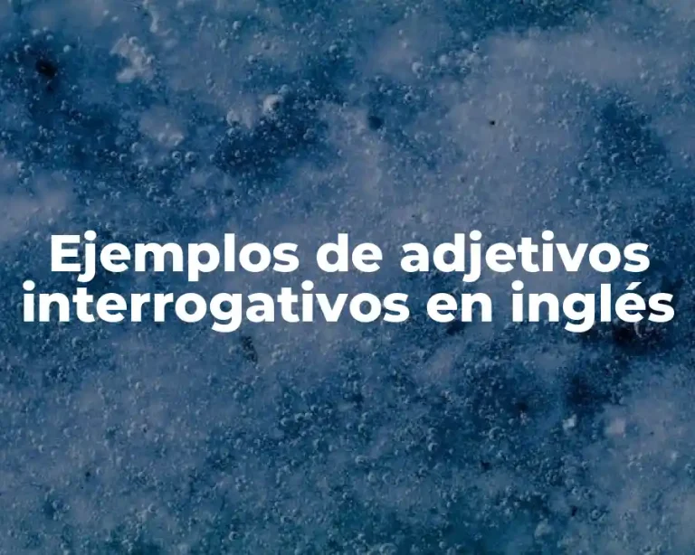 Ejemplos de adjetivos interrogativos en inglés