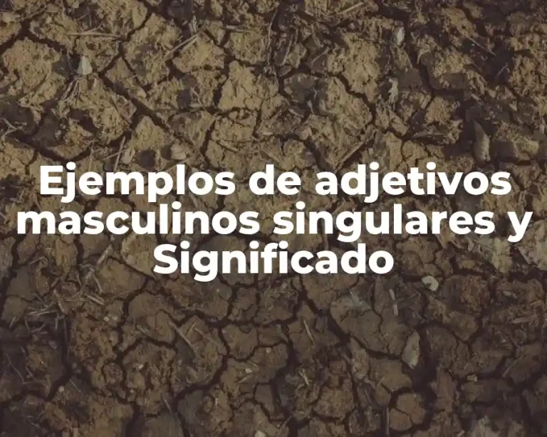 Ejemplos de adjetivos masculinos singulares y Significado