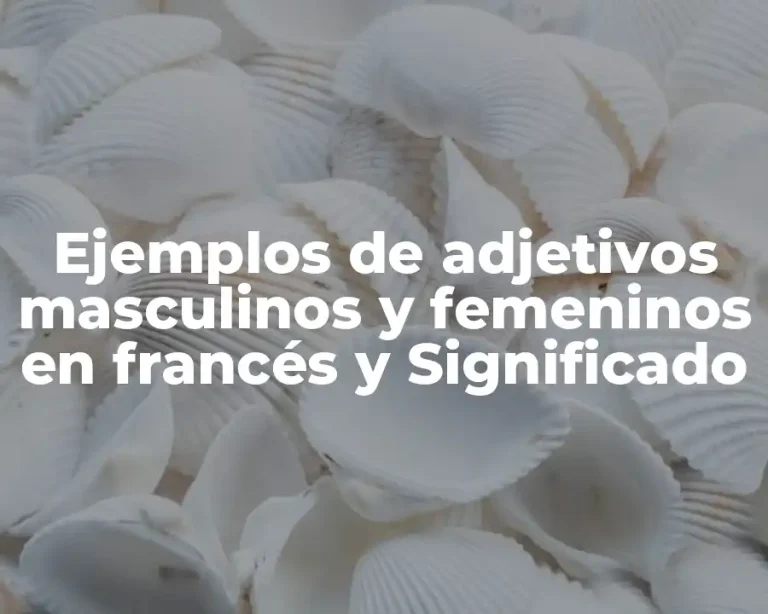 Ejemplos de adjetivos masculinos y femeninos en francés y Significado