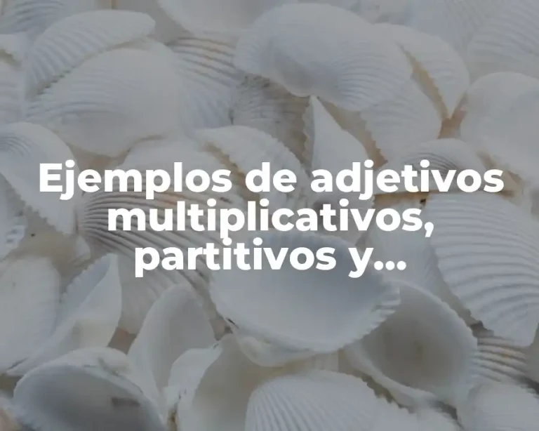 Ejemplos de adjetivos multiplicativos, partitivos y distributivos y Significado