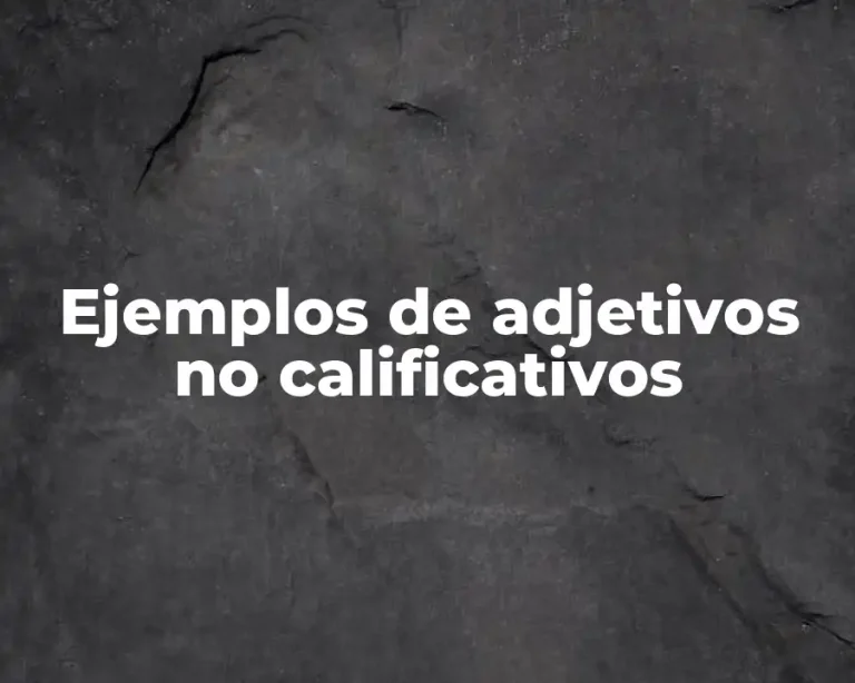 Ejemplos de adjetivos no calificativos