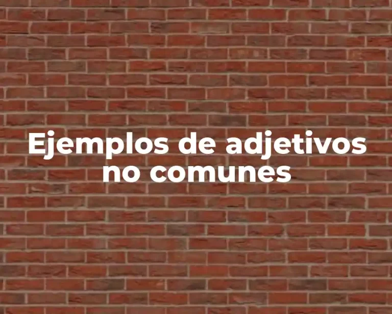 Ejemplos de adjetivos no comunes