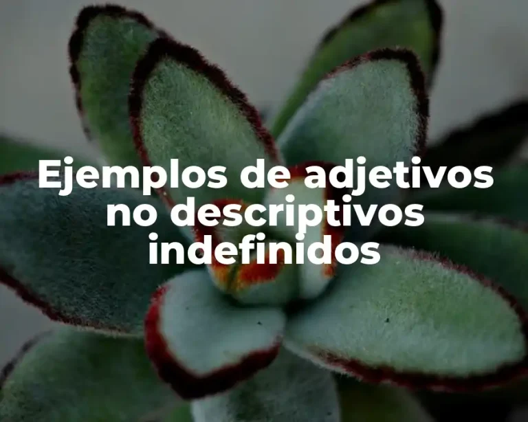 Ejemplos de adjetivos no descriptivos indefinidos