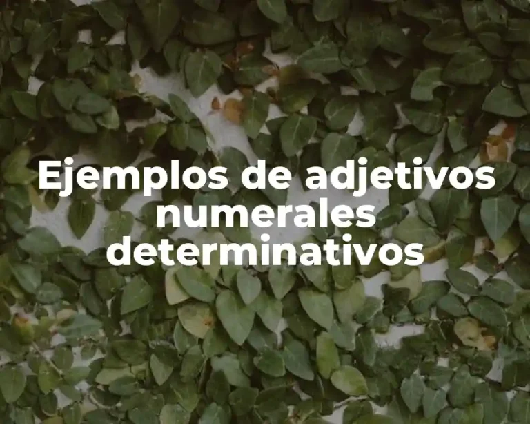 Ejemplos de adjetivos numerales determinativos