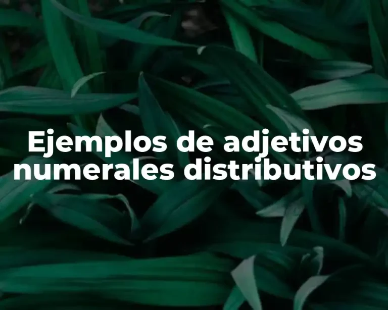 Ejemplos de adjetivos numerales distributivos