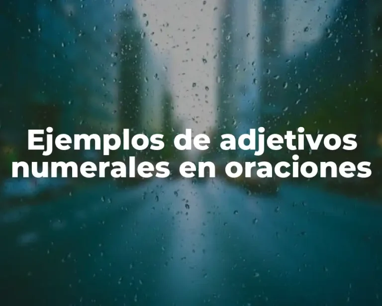 Ejemplos de adjetivos numerales en oraciones
