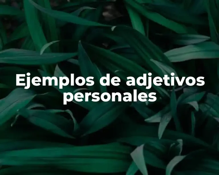 Ejemplos de adjetivos personales