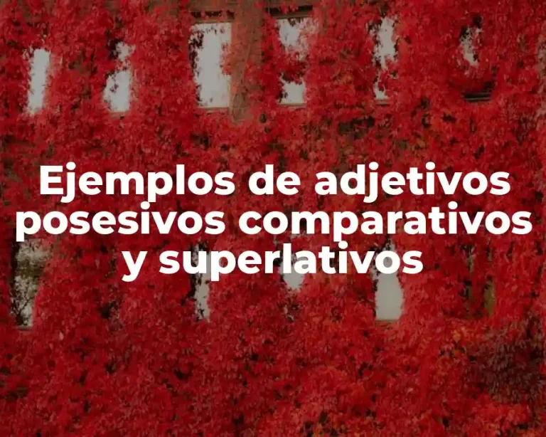 Ejemplos de adjetivos posesivos comparativos y superlativos