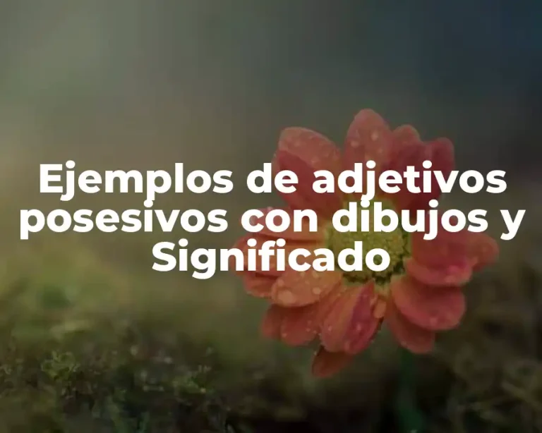 Ejemplos de adjetivos posesivos con dibujos y Significado