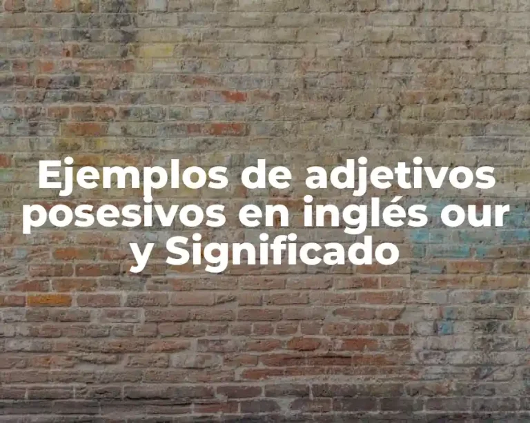 Ejemplos de adjetivos posesivos en inglés our y Significado