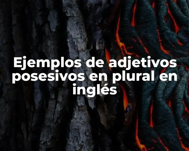 Ejemplos de adjetivos posesivos en plural en inglés