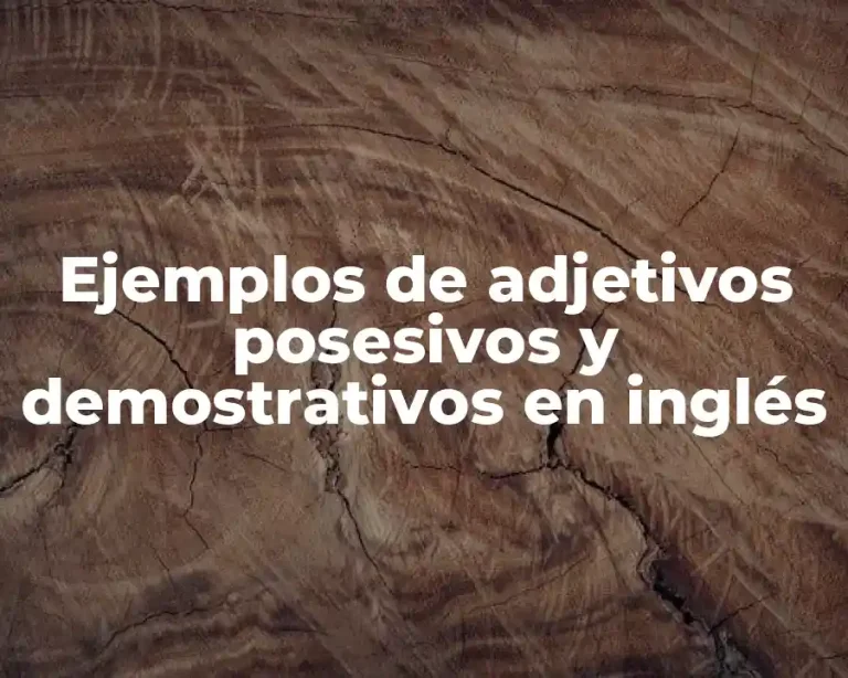 Ejemplos de adjetivos posesivos y demostrativos en inglés