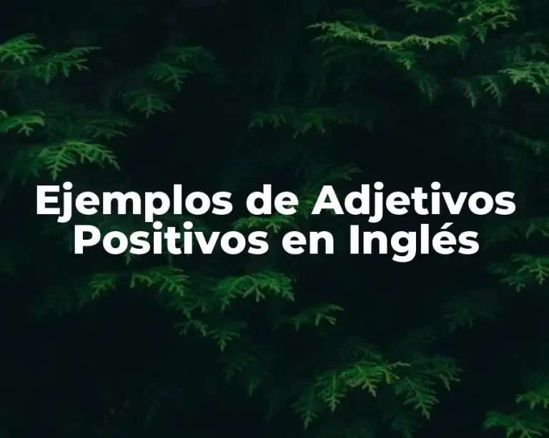 Ejemplos de Adjetivos Positivos en Inglés