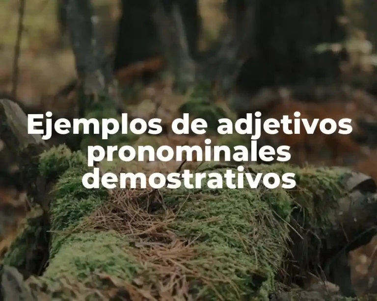 Ejemplos de adjetivos pronominales demostrativos