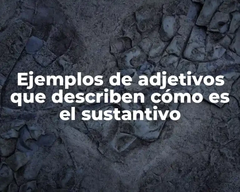 Ejemplos de adjetivos que describen cómo es el sustantivo