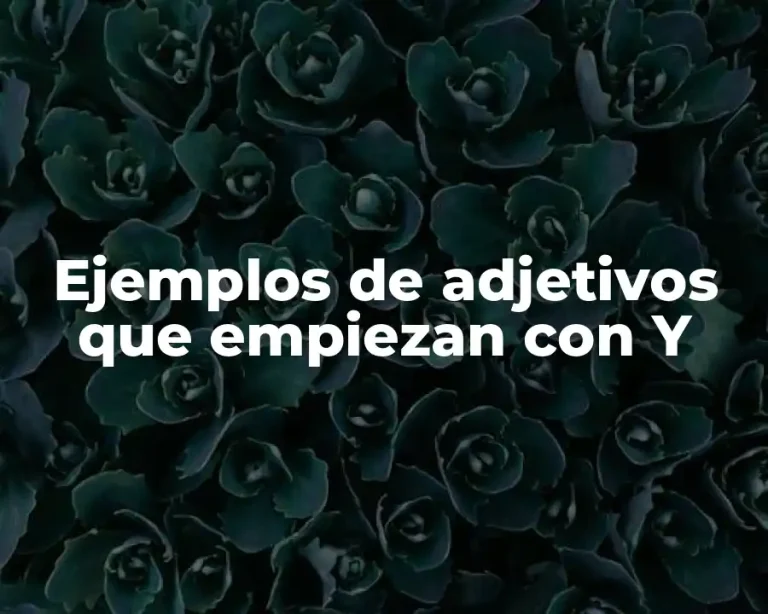 Ejemplos de adjetivos que empiezan con Y