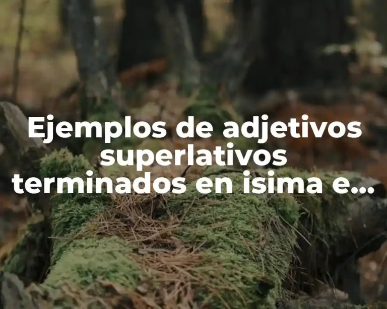 Ejemplos de adjetivos superlativos terminados en isima e isimo