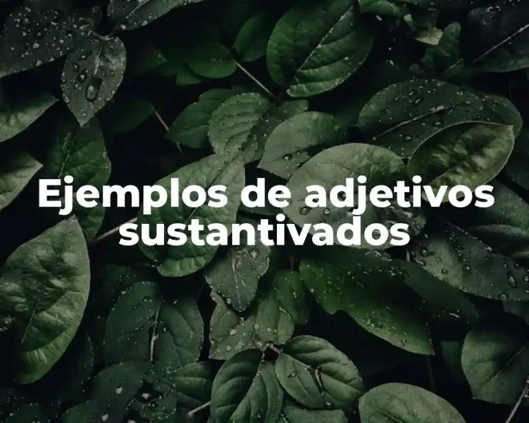 Ejemplos de adjetivos sustantivados